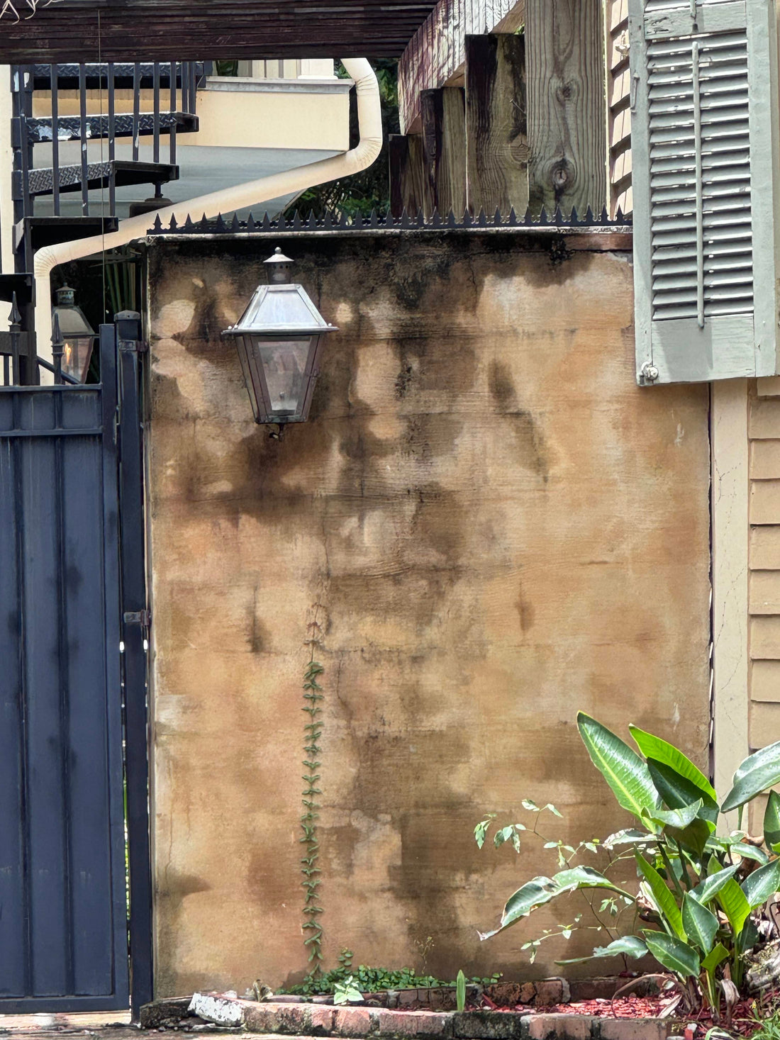 New Orleans · GIZAGIZA HEART on a Historic Stucco Wall