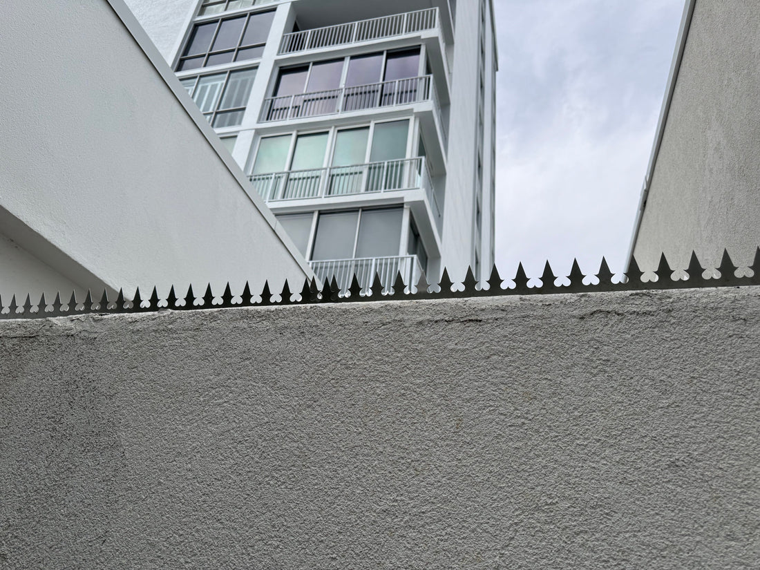 Quiet Security for a Seaside Condo — GIZAGIZA HEART in Jacksonville