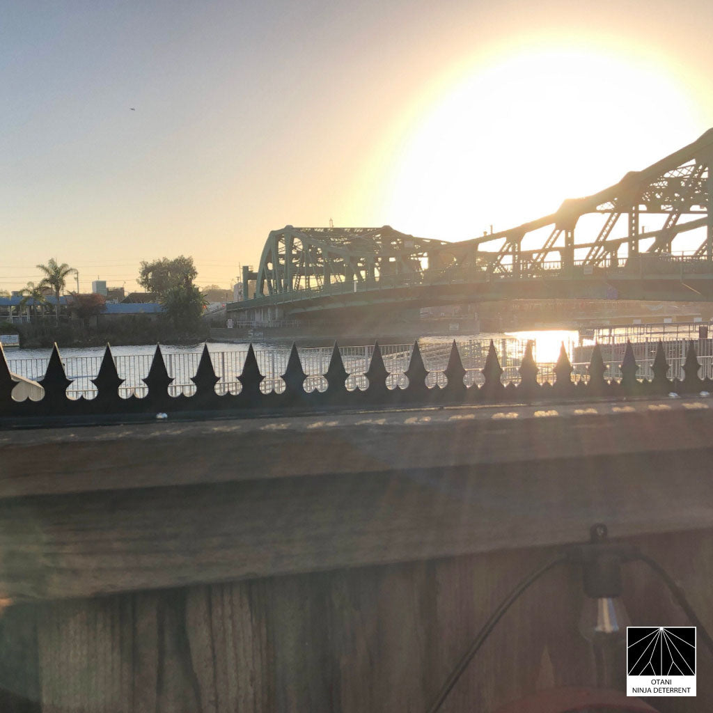 GizaGiza Heart Series