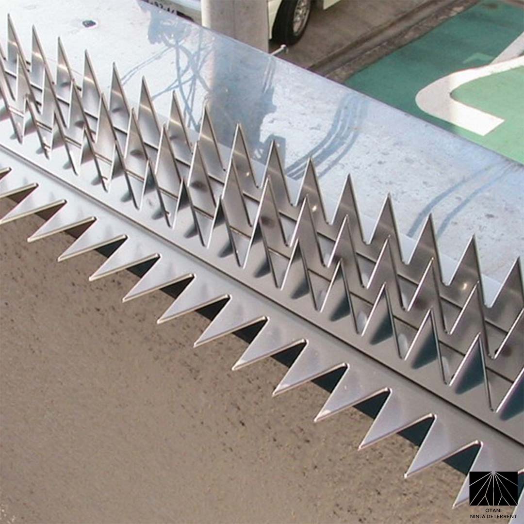 GIZA GIZA Stainless Silver Security Spikes – Anti-Climb & Bird Control (Silver Single Bladed) 1000mm/39.37inch