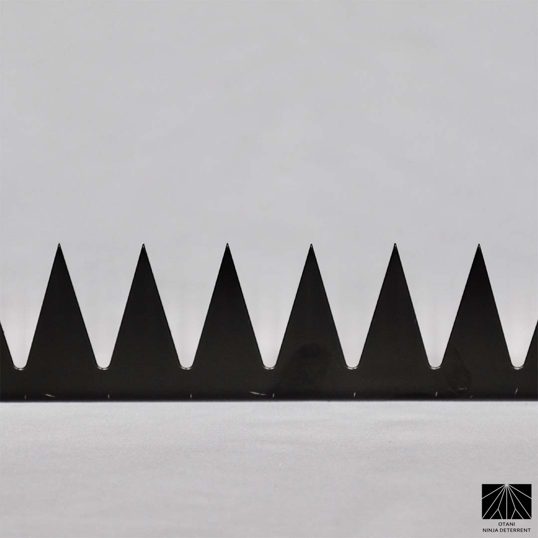 Close-up of precision-cut GIZAGIZA black spike – matte finish, ultra-sharp, and beautifully minimalist