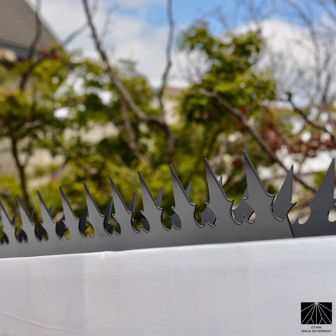 GIZAGIZA black dualheart spike viewed from angle – minimal silhouette with powerful deterrent effect