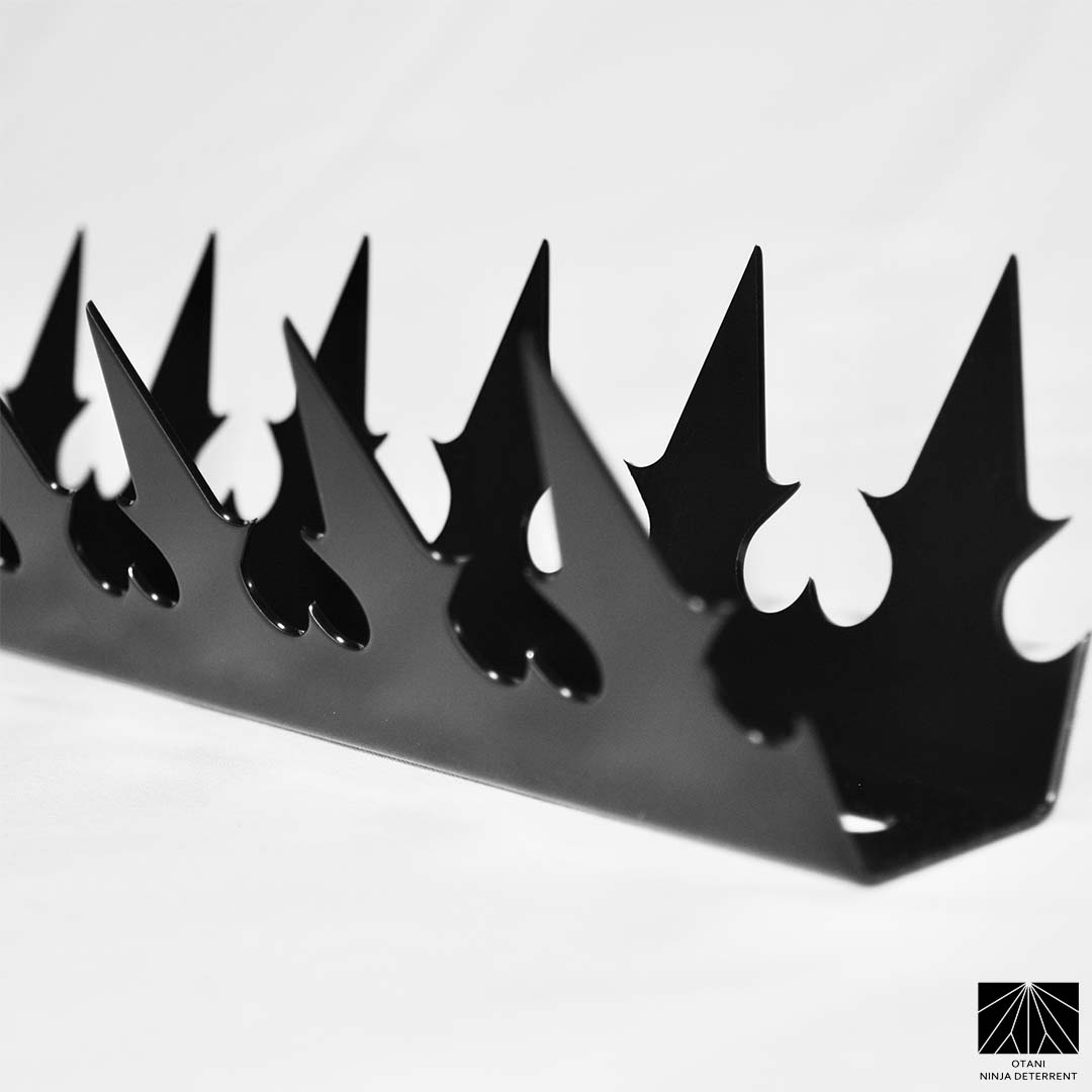 Close-up of precision-cut GIZAGIZA black dual heart spike – matte finish, ultra-sharp, and beautifully minimalist