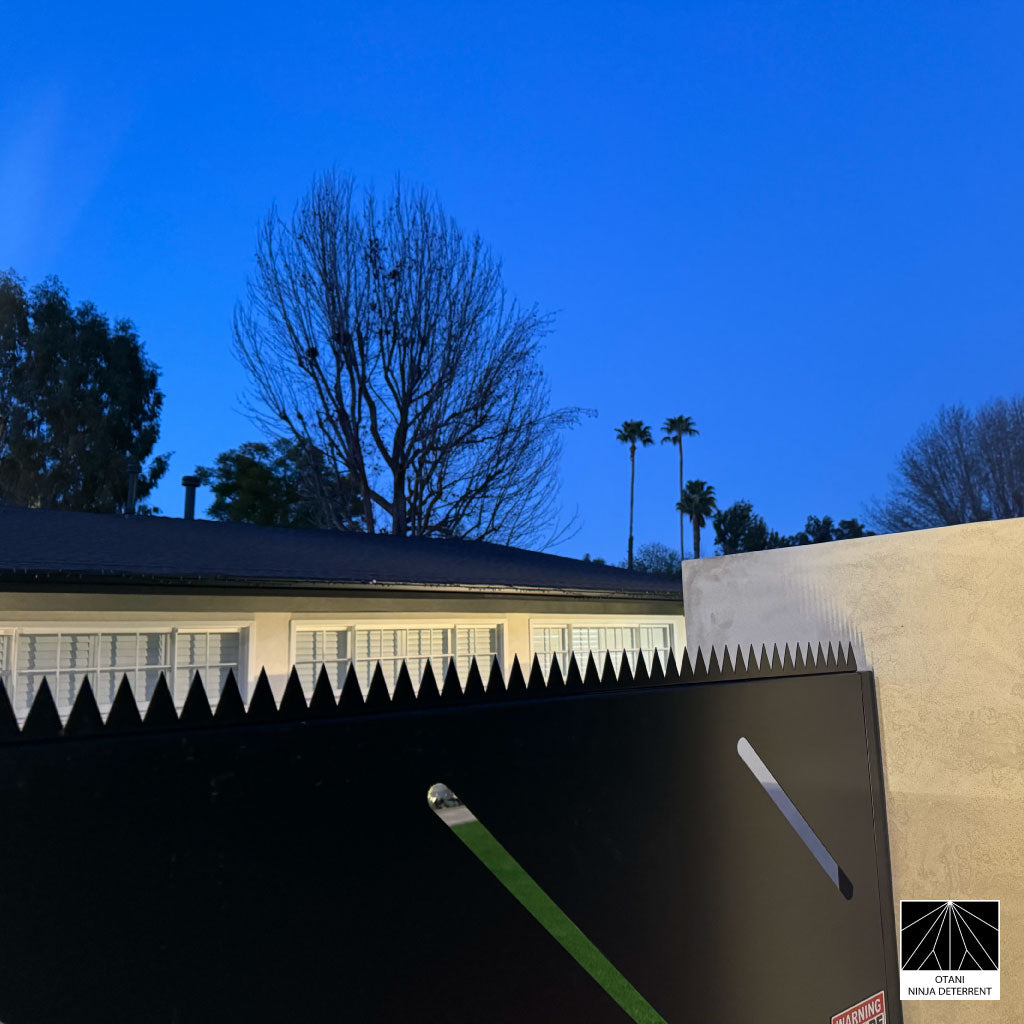 GIZAGIZA Black on modern black gate – silent defense integrated into architecture