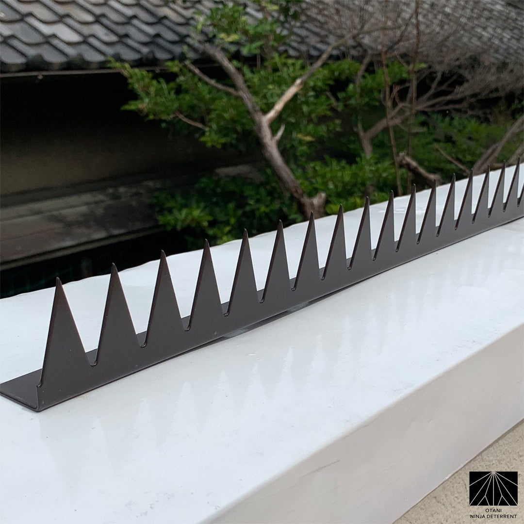 Long-view of GIZAGIZA Black on parapet – perfect balance of elegance and anti-intrusion function