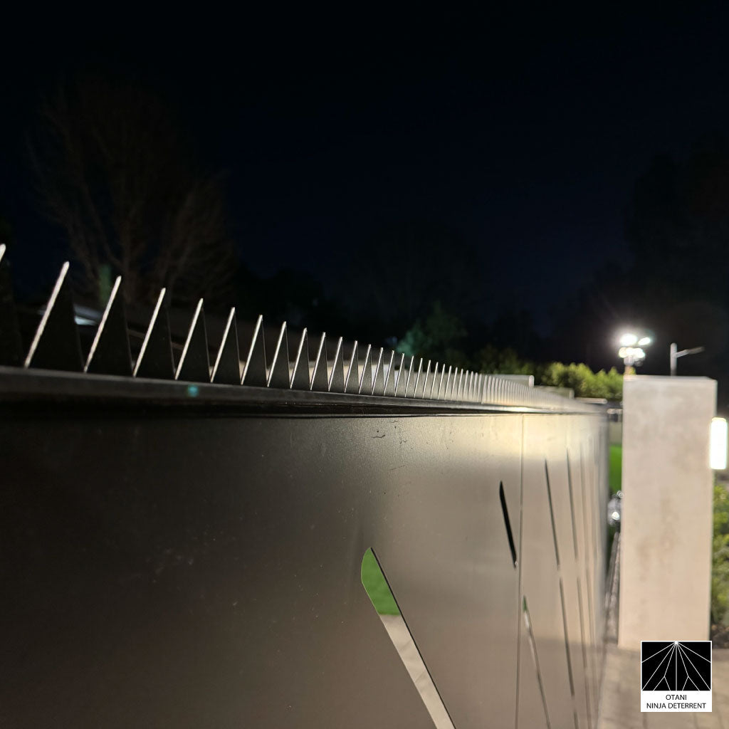 GIZAGIZA Black at night under security lighting – subtle presence, strong protection