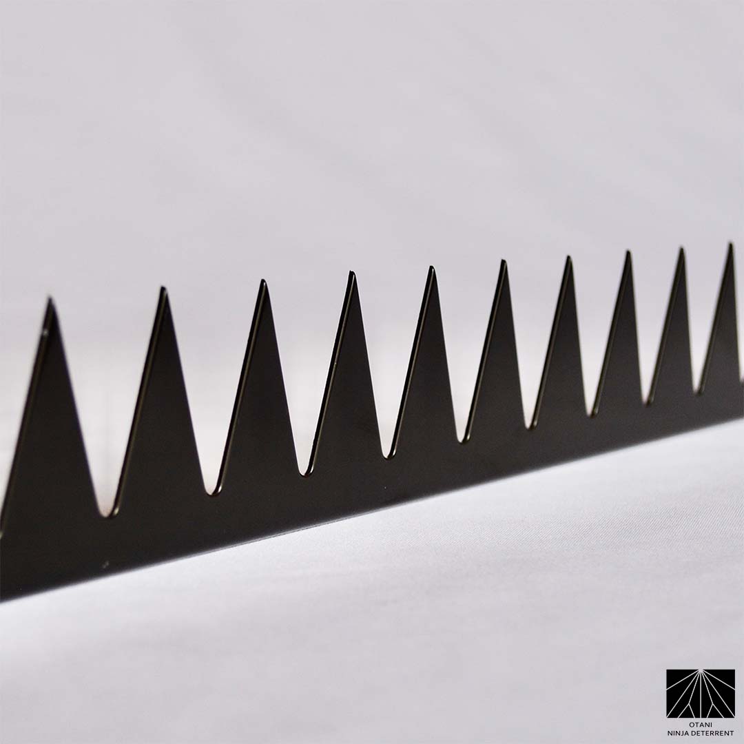 Japanese-made black security spike with sharp triangular blades for elegant perimeter and bird deterrence