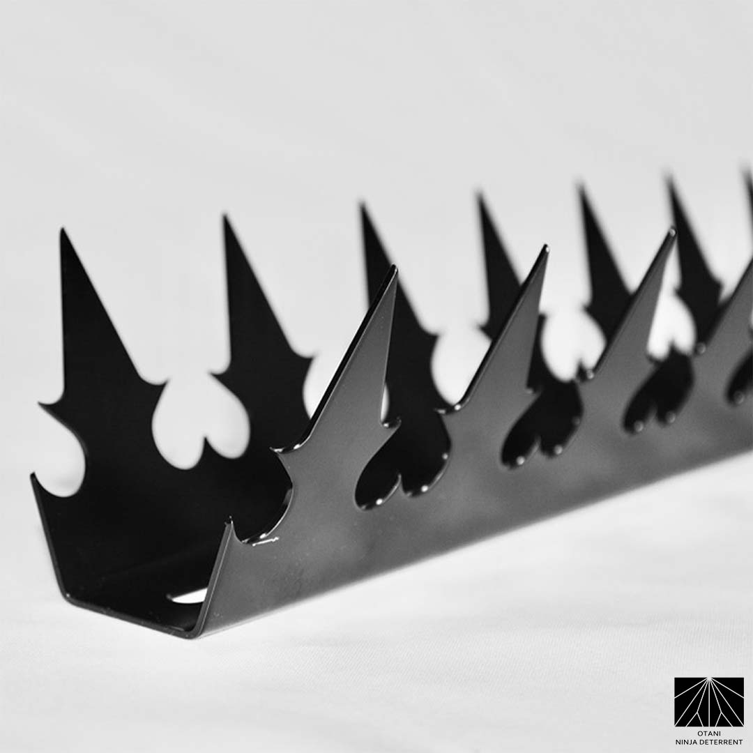 Japanese-made black dual heart security spike with sharp triangular blades for elegant perimeter and bird deterrence
