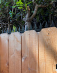 GIZAGIZA black heartspike installed on wood wall with warning sign – clean design and security in harmony