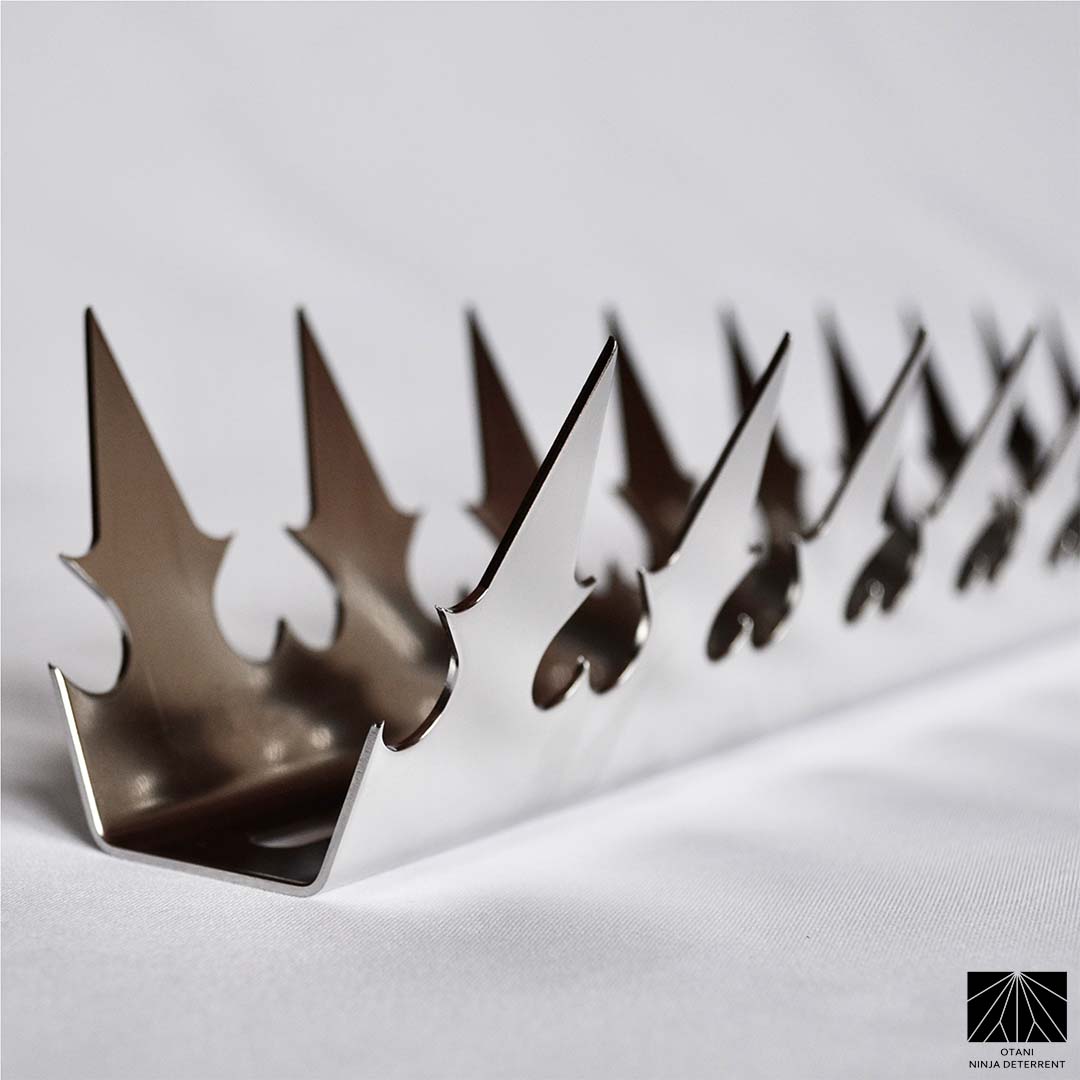 Japanese-made stainless dual heart security spike with sharp triangular blades for elegant perimeter and bird deterrence