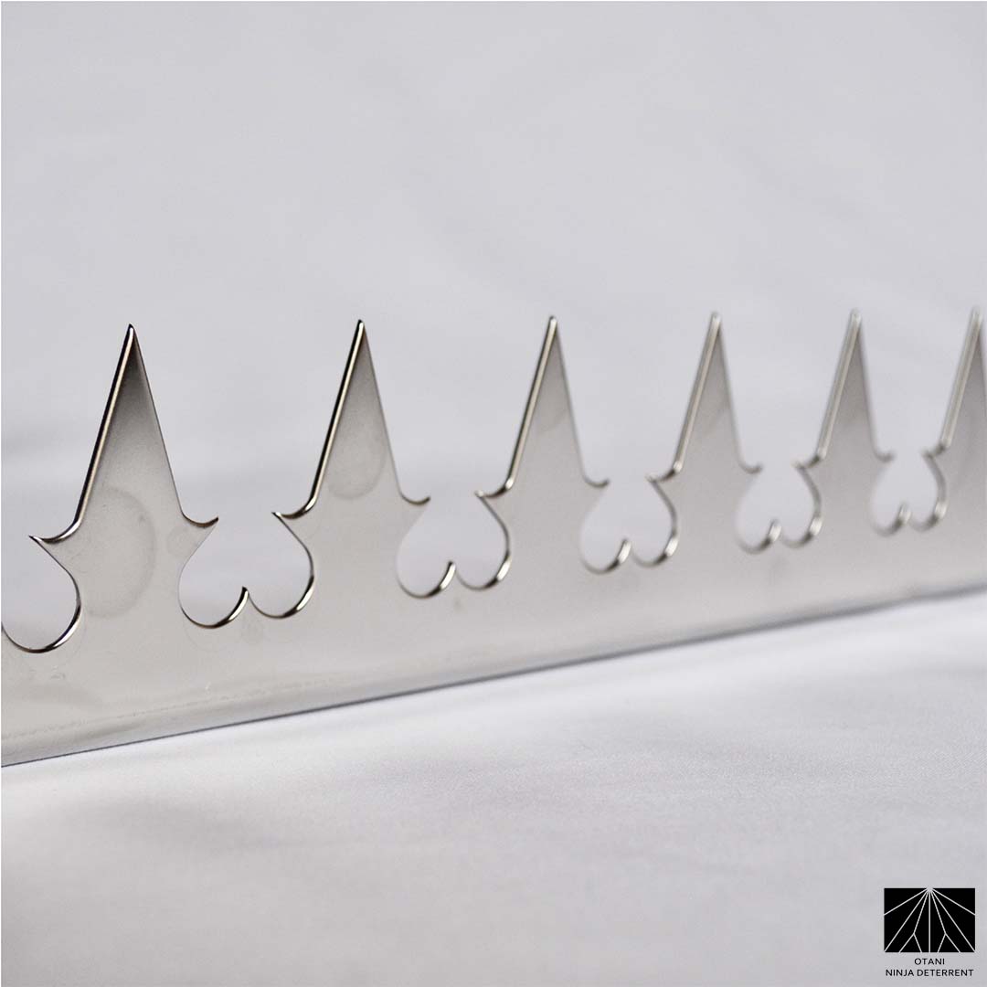 Japanese-made stainless heart security spike with sharp triangular blades for elegant perimeter and bird deterrence