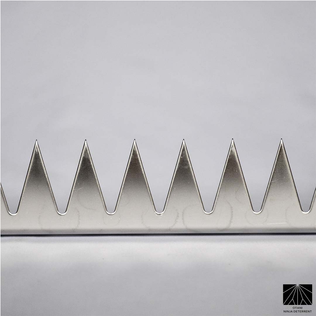 Close-up of precision-cut GIZAGIZA stainless spike – matte finish, ultra-sharp, and beautifully minimalist