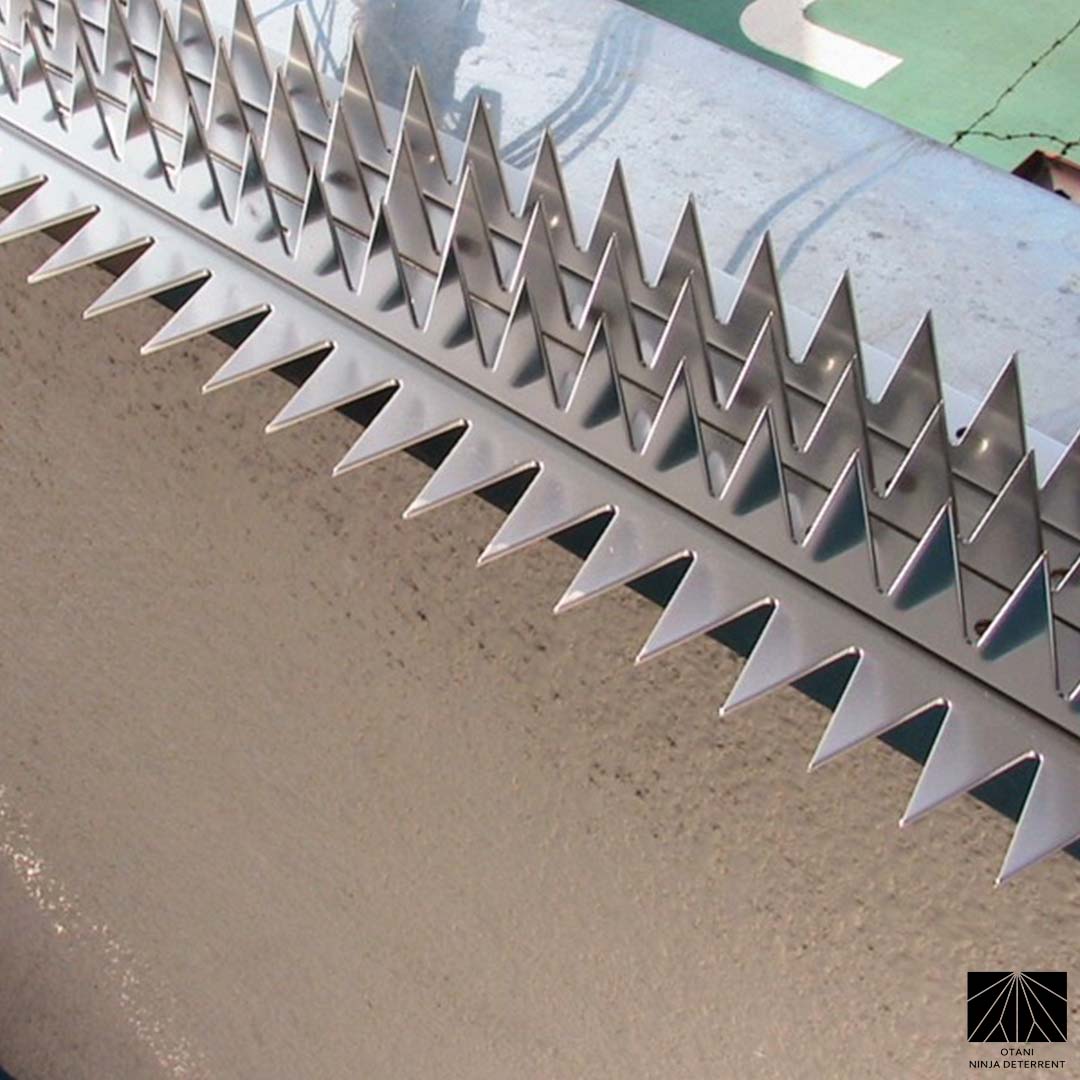 High-security setup with double-layer GIZAGIZA Silver spikes, maintaining design harmony