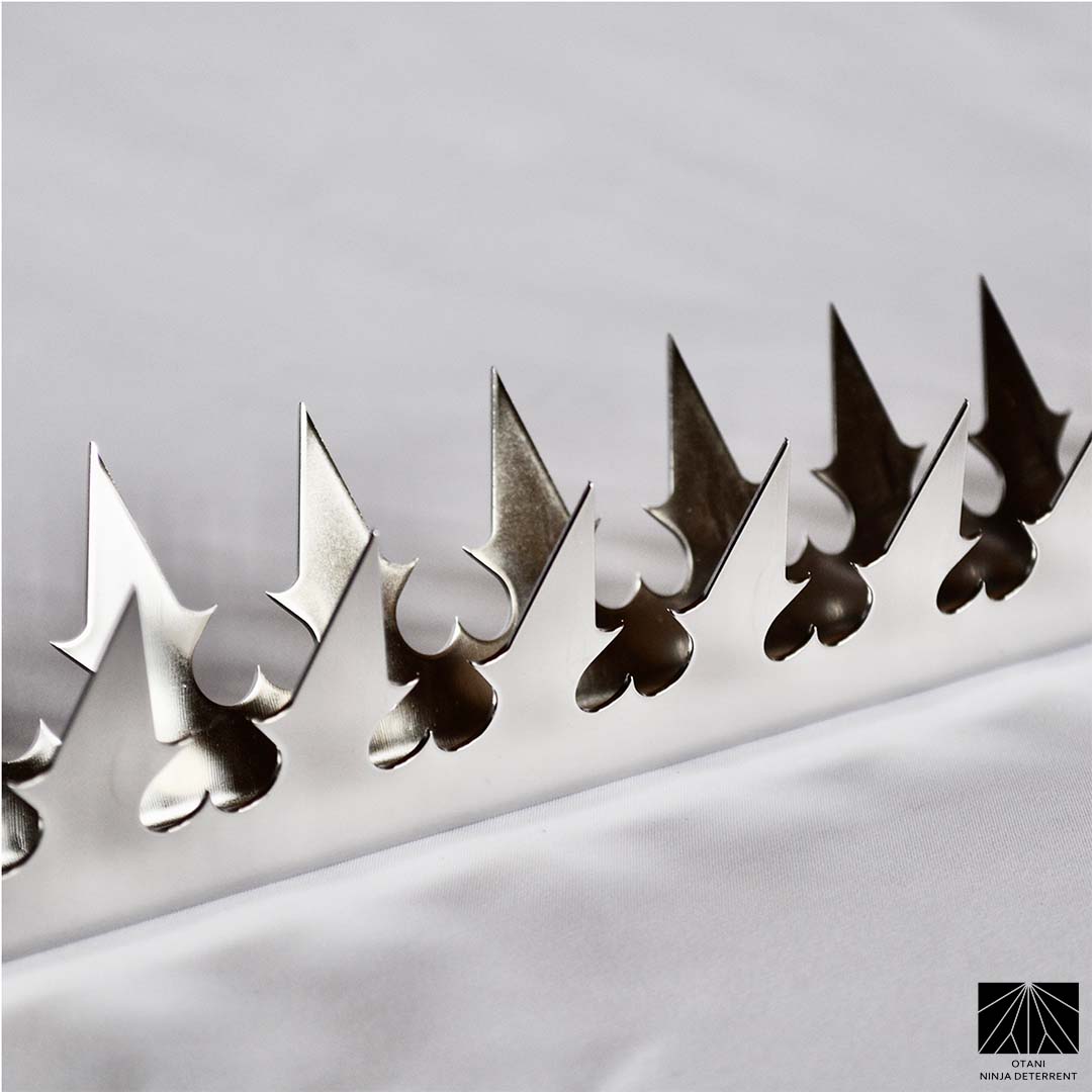 Precision-crafted stainless dual heart steel spike – corrosion-resistant and highly polished finish