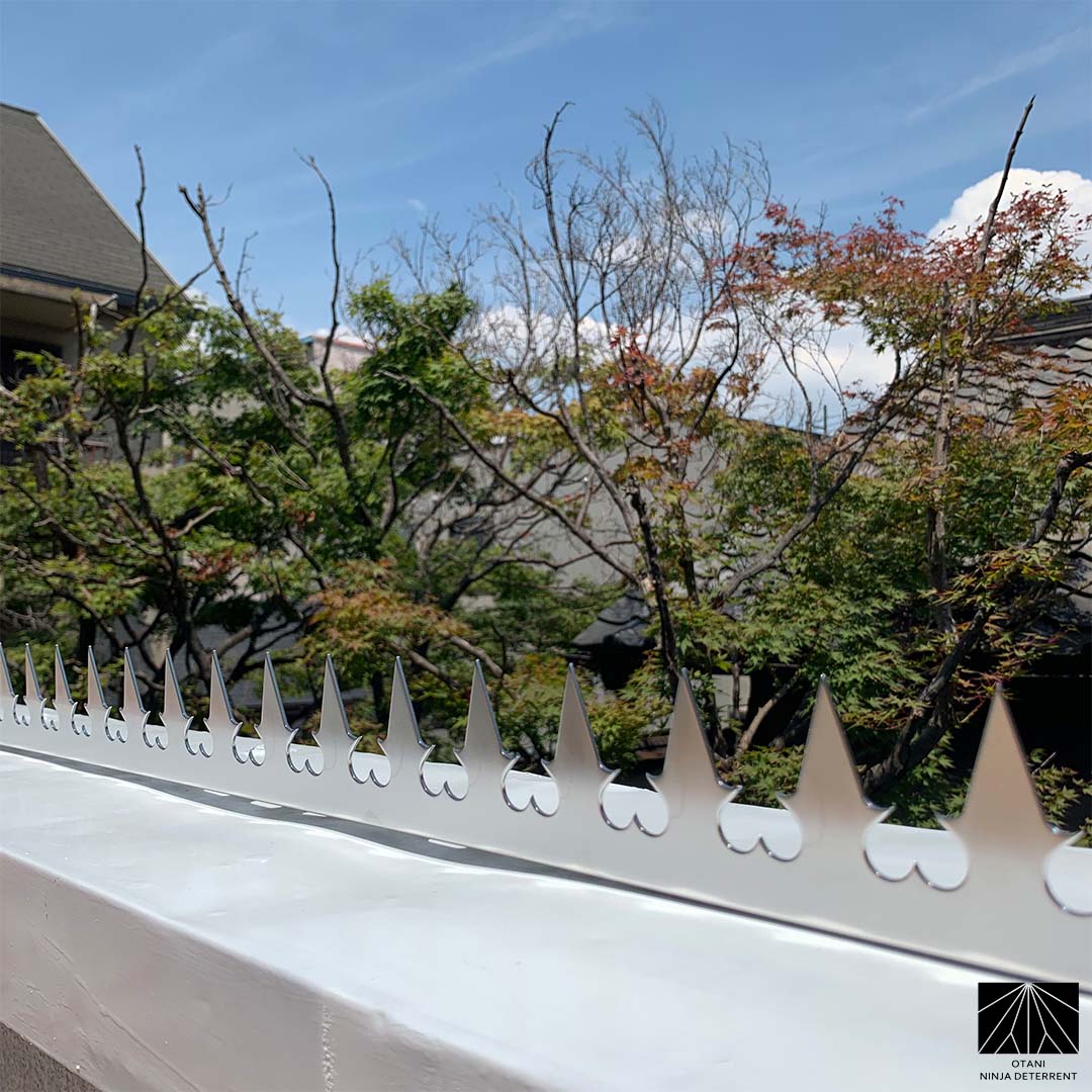 GIZAGIZA stainless heart spike viewed from angle – minimal silhouette with powerful deterrent effect