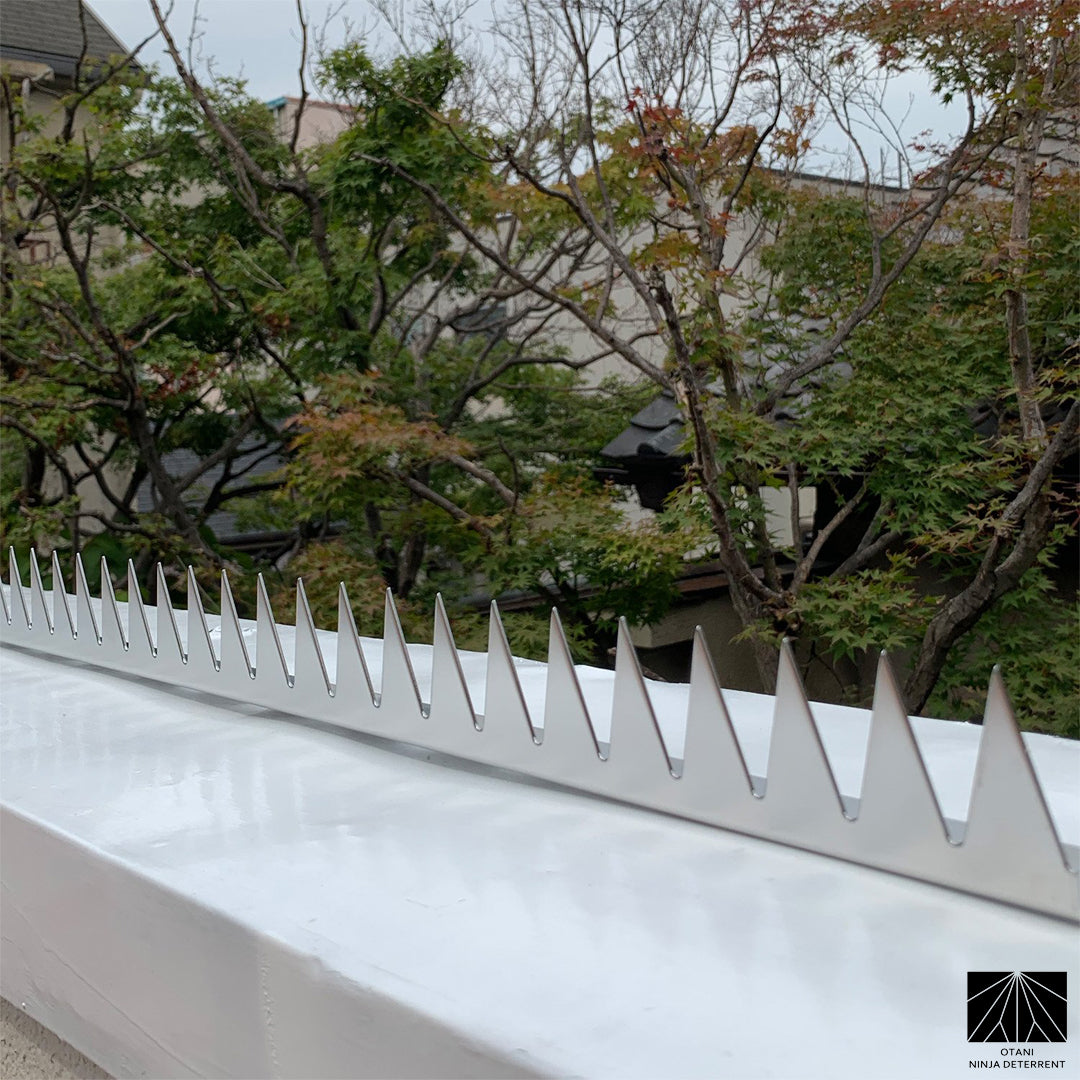 GIZAGIZA stainless spike viewed from angle – minimal silhouette with powerful deterrent effect