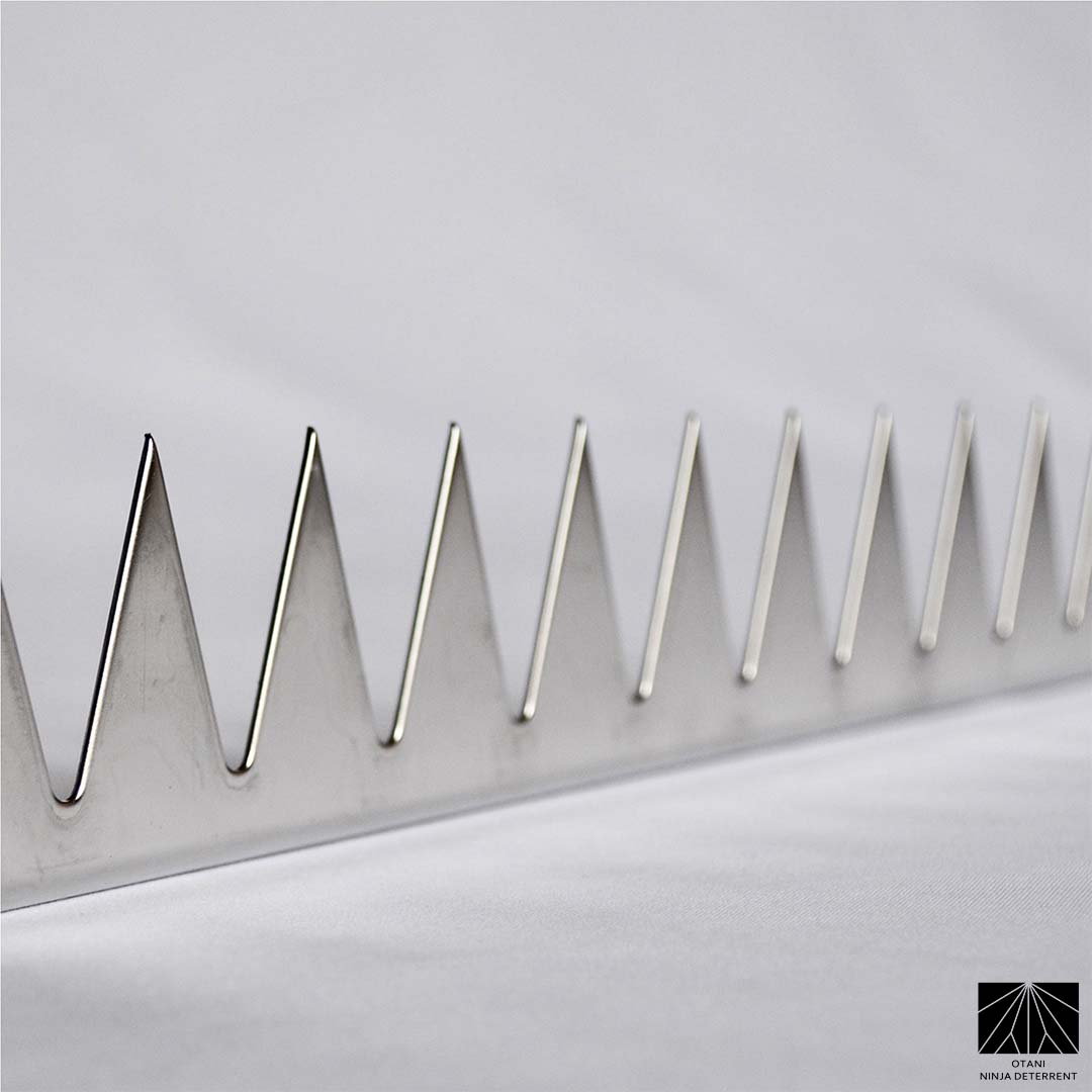 Japanese-made stainless security spike with sharp triangular blades for elegant perimeter and bird deterrence