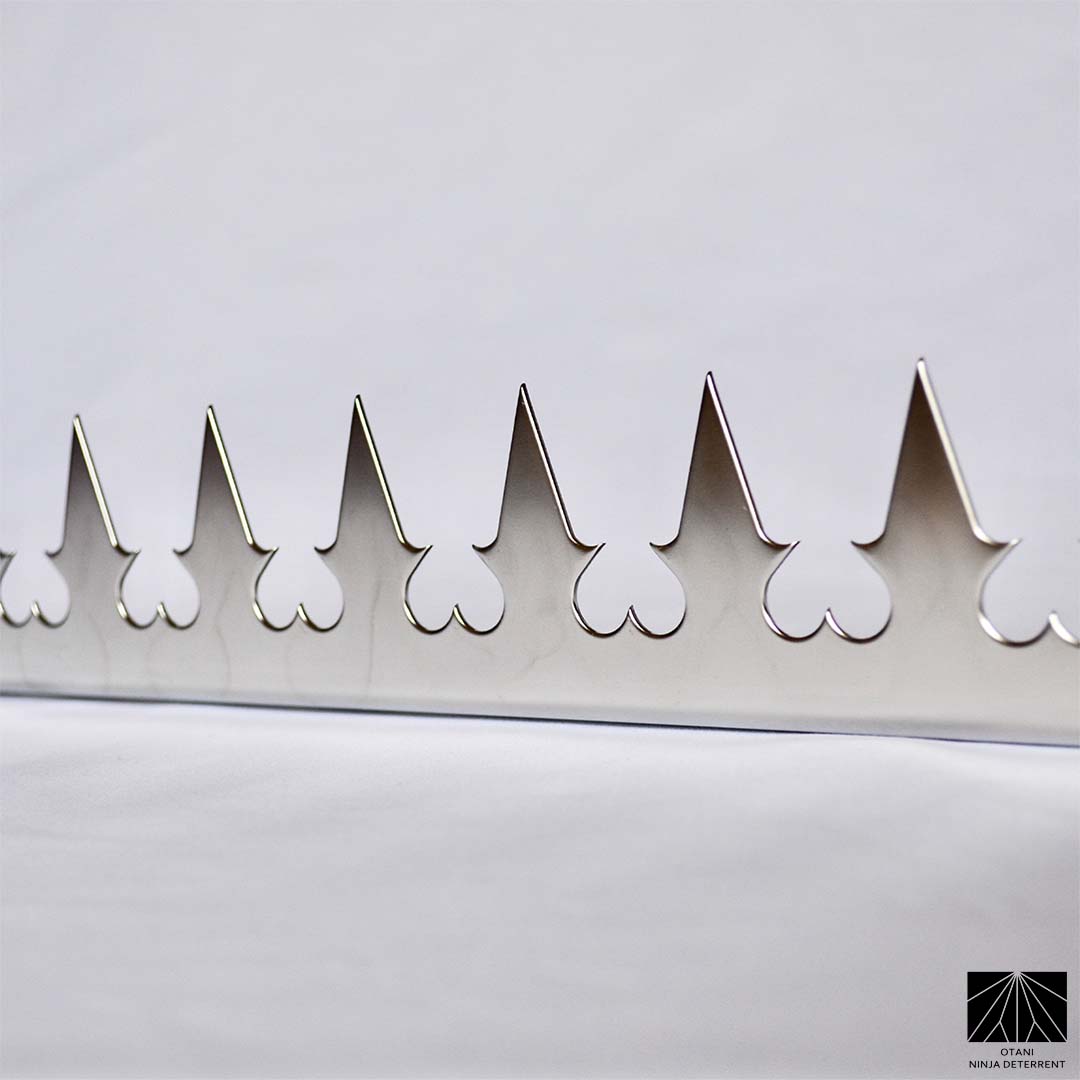 Precision-crafted stainless heart steel spike – corrosion-resistant and highly polished finish