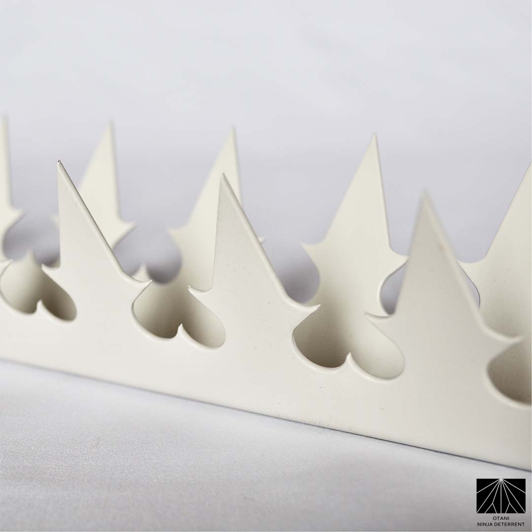 Close-up of precision-cut GIZAGIZA white dual heart spike – matte finish, ultra-sharp, and beautifully minimalist