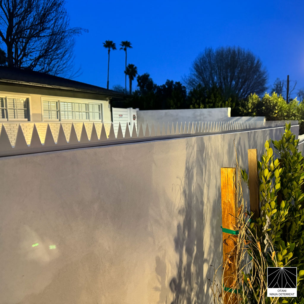 Architectural white spikes at dusk – dual-purpose for intruder and bird deterrence