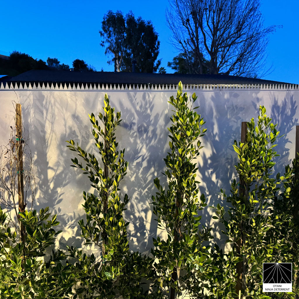 Aesthetic and effective – GIZAGIZA White blends with landscaped greenery while enhancing security