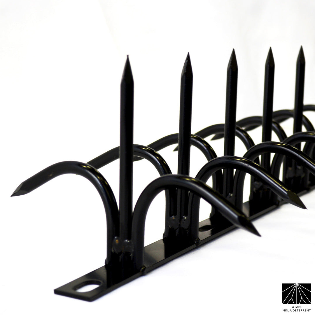 Dual-function Ninja Deterrent™ in matte black—bird-proof and burglar-resistant fencing solution