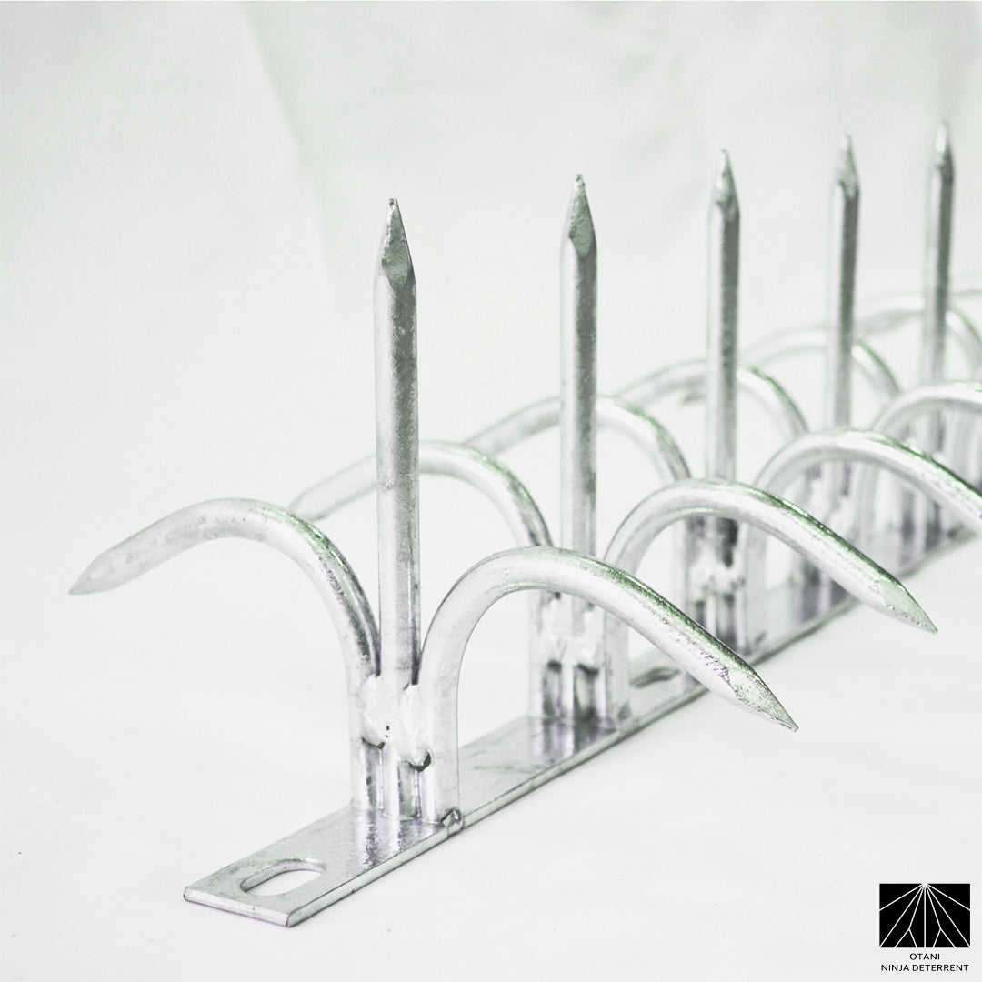 Double-bladed Ninja Deterrent™ in hot-dip galvanized finish—durable anti-rust spike for bird and intruder protection