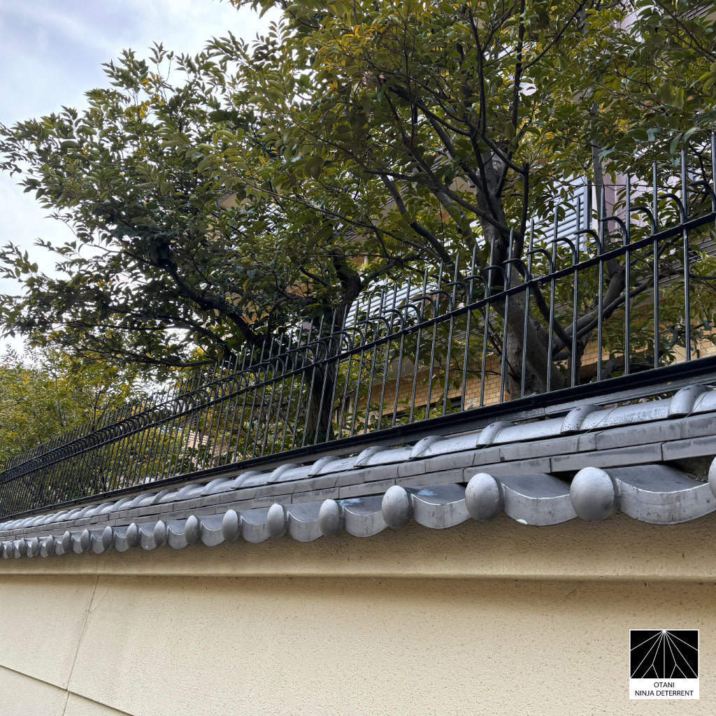 Ninja Deterrent stainless steel security and bird spikes installed on a traditional Japanese wall for elegant intruder prevention