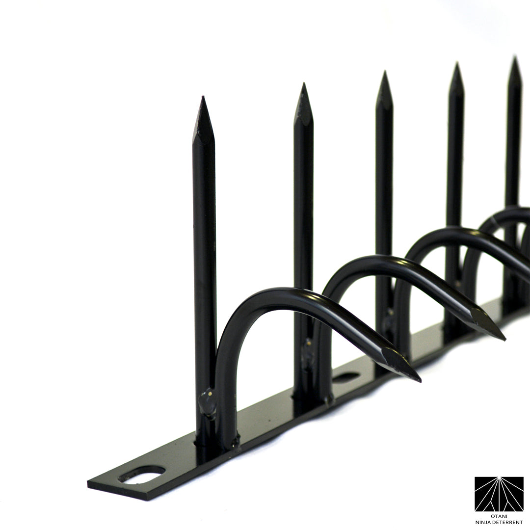Matte black single-bladed Ninja Deterrent™—stylish bird repellent and intruder barrier for urban homes