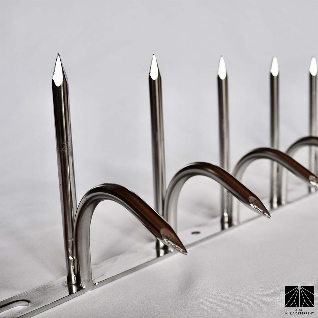 Close-up front view of double-bladed Ninja Deterrent™ in silver finish—sharp anti-intruder and anti-bird spikes