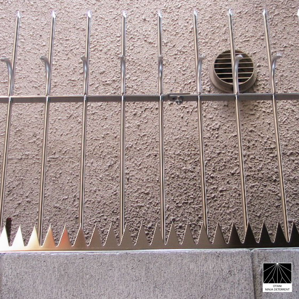 Ninja Deterrent spikes with triangular blade base for enhanced bird deterrent and anti-climb protection on walls