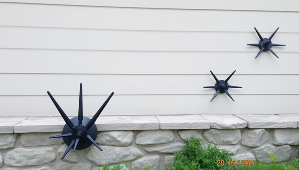 Innovative Security Solutions: How Ninja Foot Spikes and Wall Spikes Enhance Home Safety in 2025