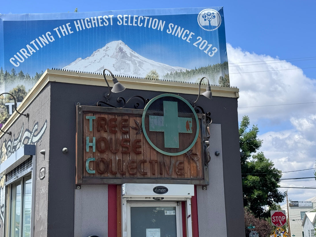 Portland NE Sandy Blvd Medical Cannabis Shop – Enhanced Roofline Security with GIZAGIZA HEART Ninja Deterrent™