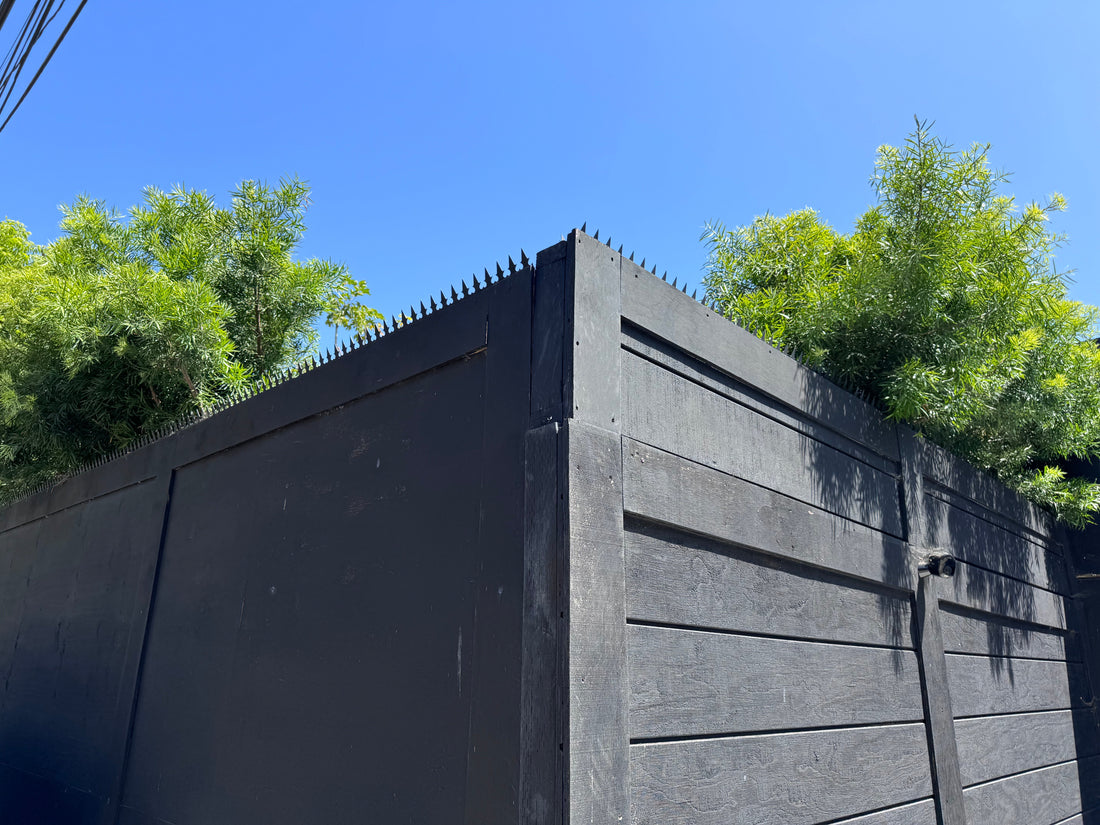 Venice Case Study: Quiet Alley, Strong Defense — GIZAGIZA Heart + Classic Short Black Dual-bladed