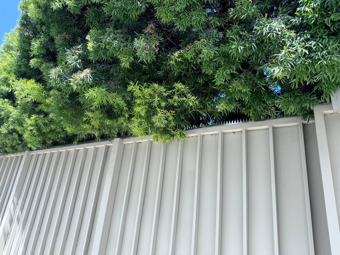 Venice, 350 Vernon Ave — Minimalist Security with Maximum Effect: GIZAGIZA