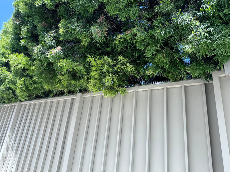 Venice, 350 Vernon Ave — Minimalist Security with Maximum Effect: GIZAGIZA