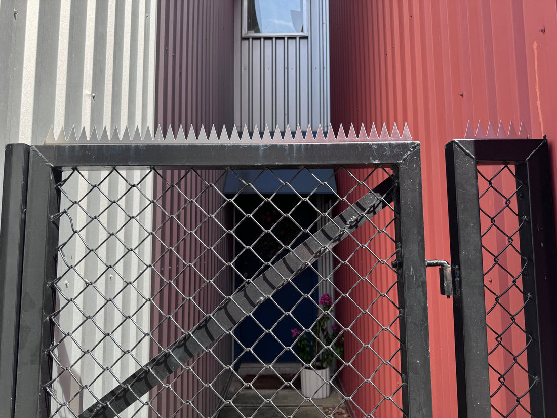 GIZAGIZA Serrated Crown — A Quiet, Unclimbable Line