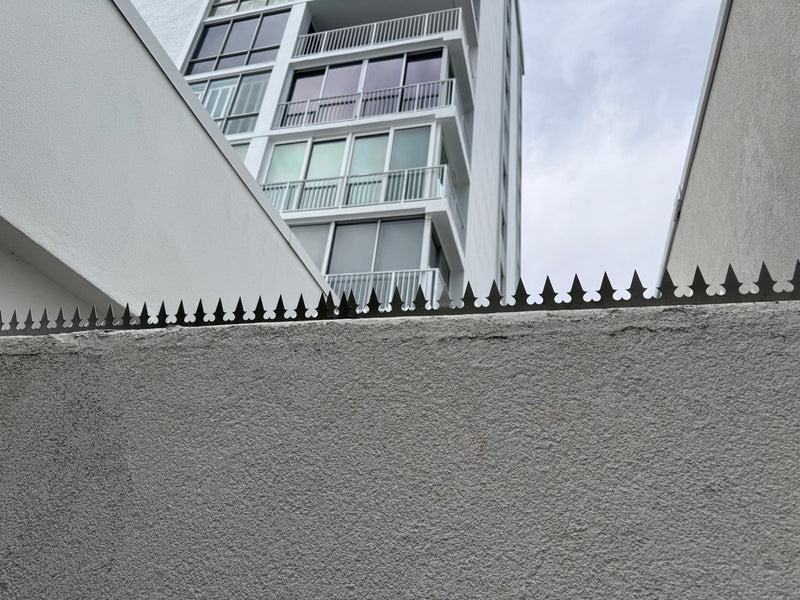 Quiet Security for a Seaside Condo — GIZAGIZA HEART in Jacksonville