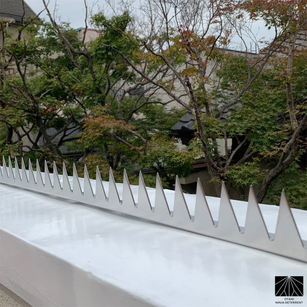 🛡️ When Reality Strikes: Ninja Deterrent™ Stopped a Trespasser in Kyoto