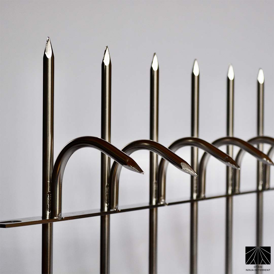 Close-up Polished stainless steel Ninja Deterrent spikes offering high-end bird control and perimeter security
