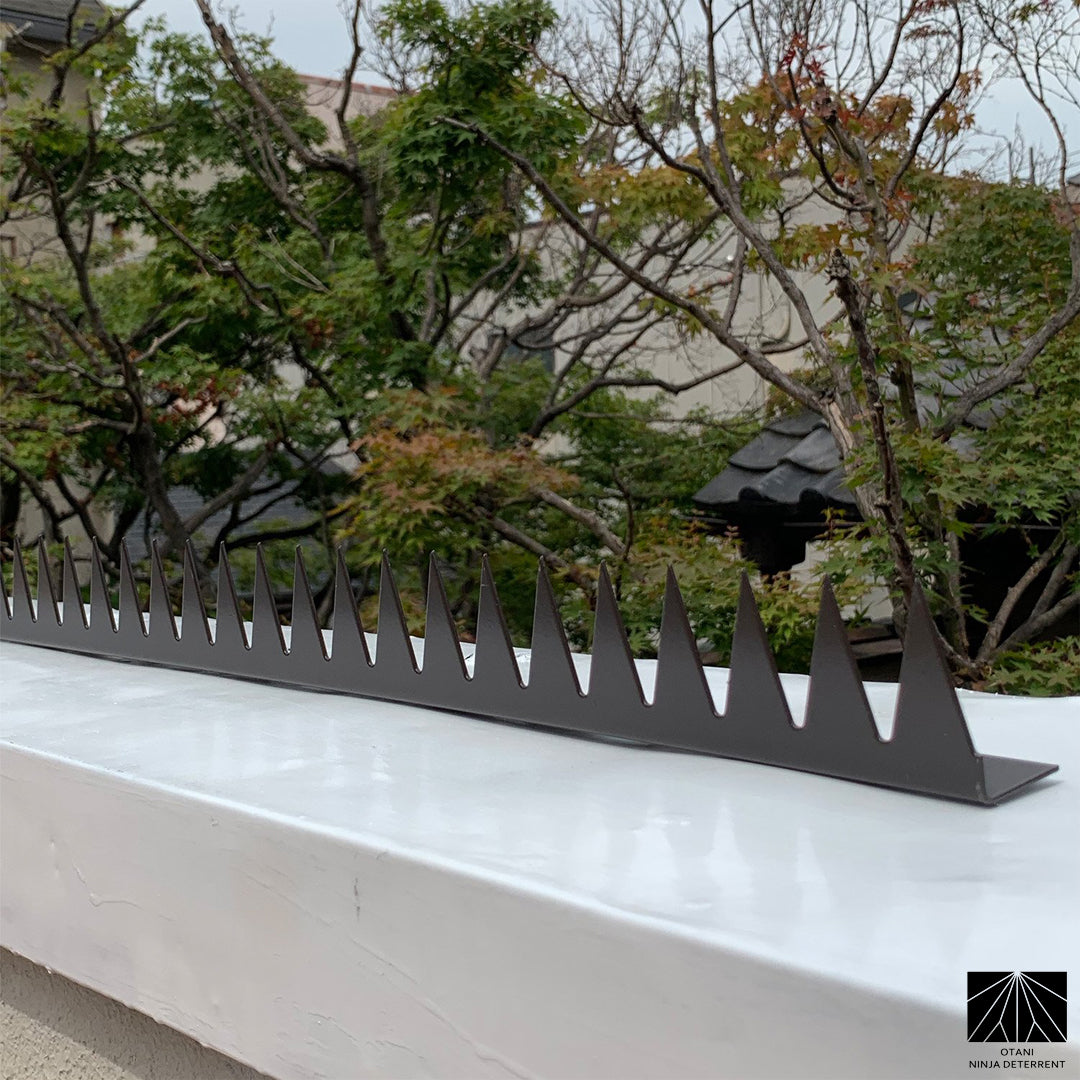 GIZAGIZA Black spike viewed from angle – minimal silhouette with powerful deterrent effect