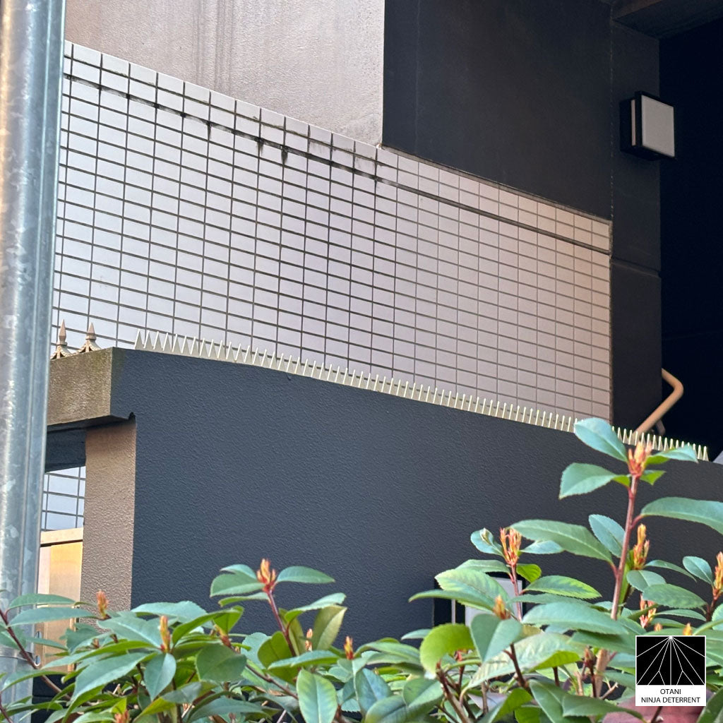 GIZAGIZA Stainless spike installed on modern building wall – discreet yet high-impact security