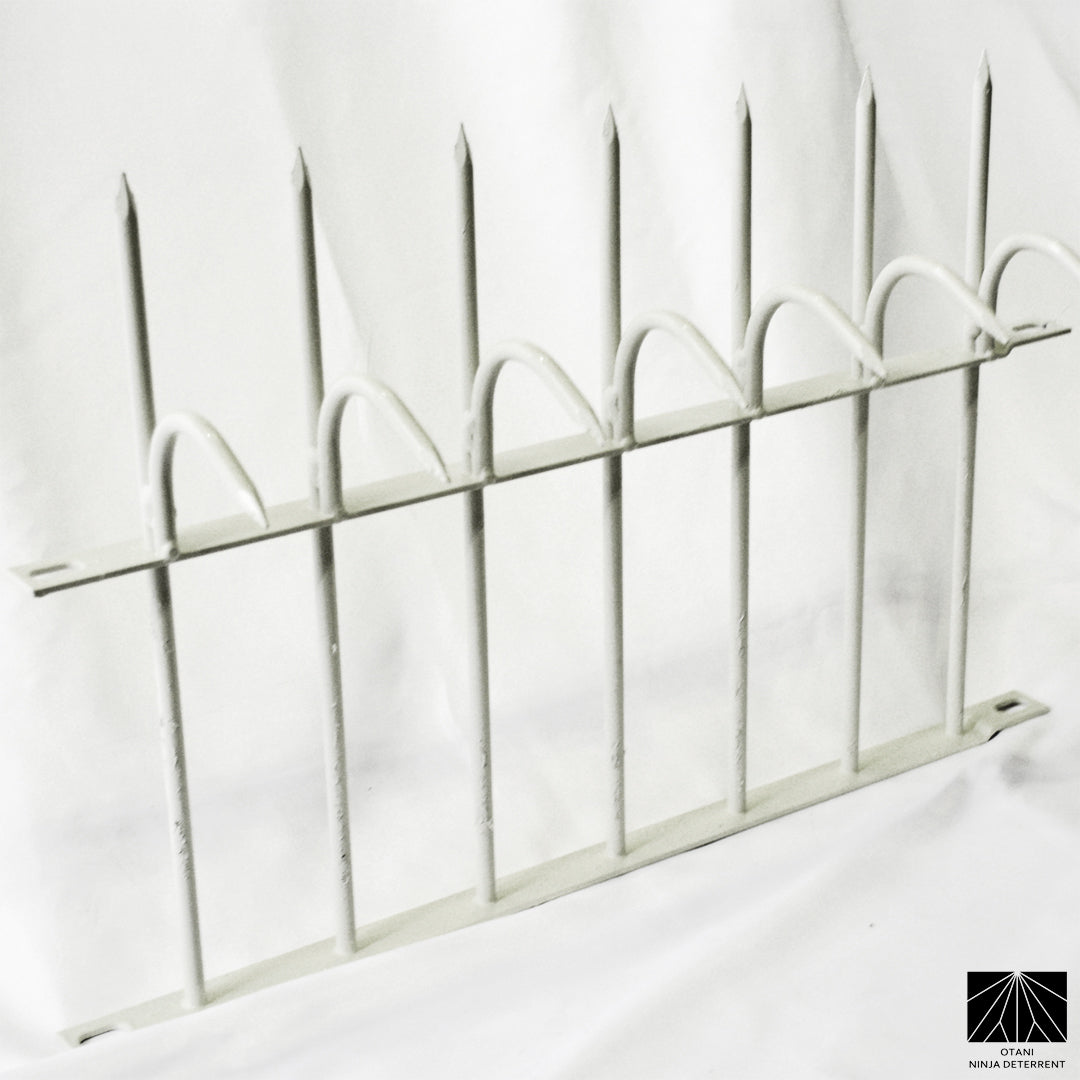 Middle size Ninja Deterrent white security spikes for anti-climb and bird control
