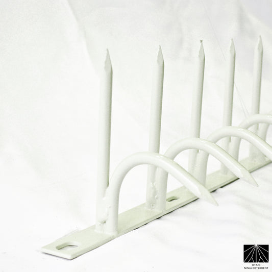 White-coated single-bladed Ninja Deterrent™—blends with light-colored walls for elegant bird repelling design